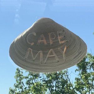 Hand Carved Luminescent Sea Shells for Windows